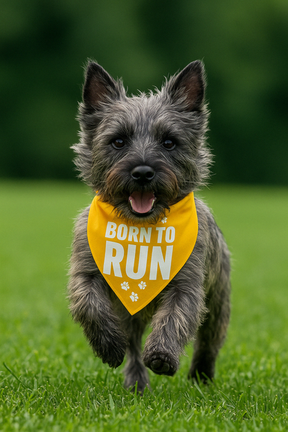 Parisian Pet 'Born to Run' Bandana - Fashionable, Soft, Comfortable Yellow Bandana for Dogs & Cats