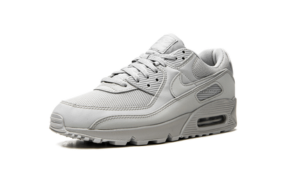 Air Max 90 "Wolf Grey" CN8490 001